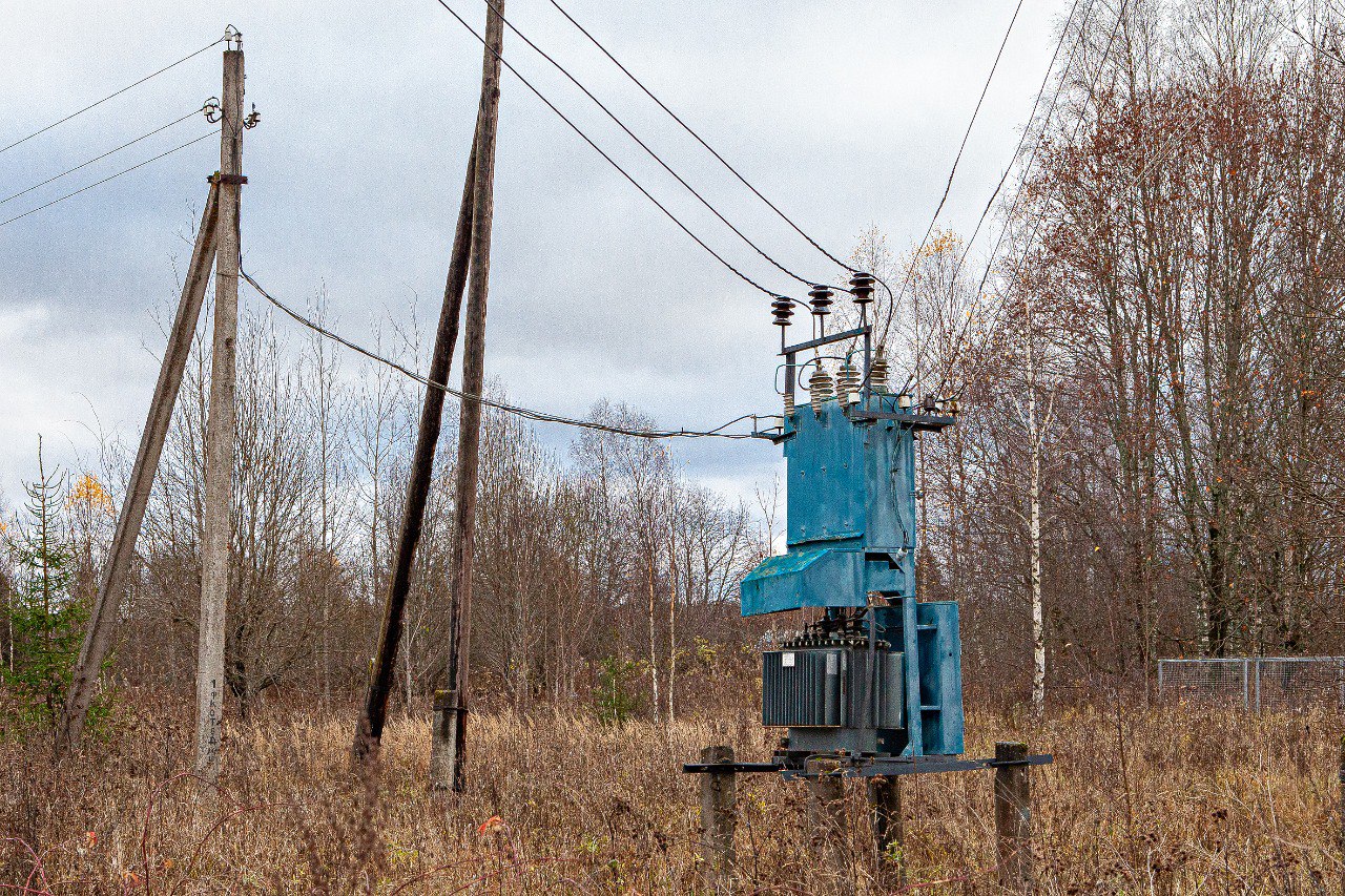 Автор фото: Диана Журавлева