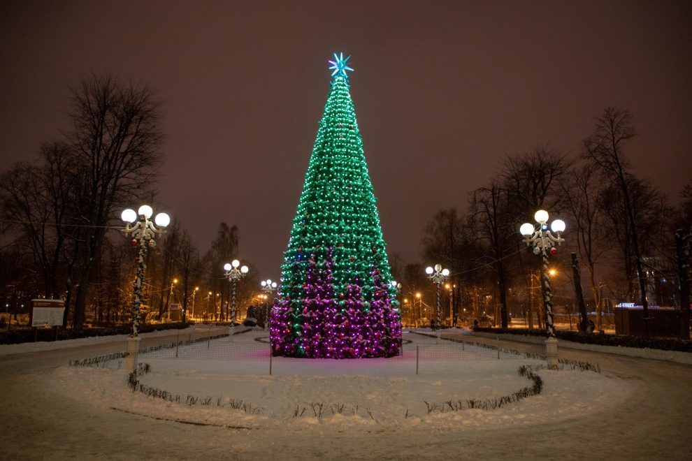 Фото: Кристина Белякова/РИА Верхневолжье