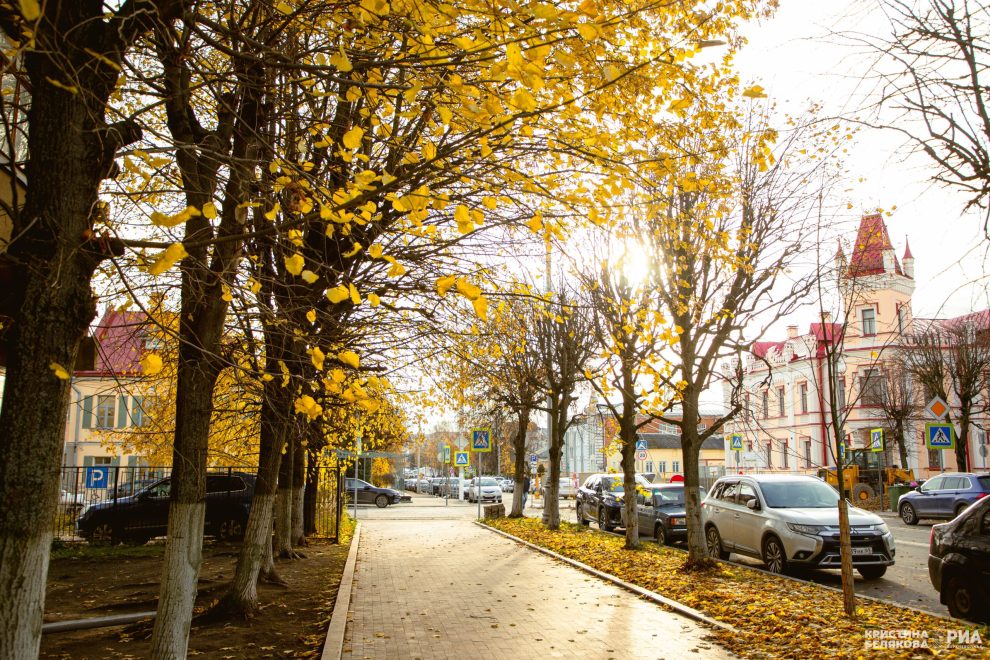 Фото: Кристина Белякова/РИА Верхневолжье