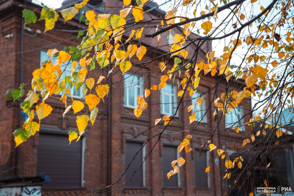 ноябрь, тепло, осень