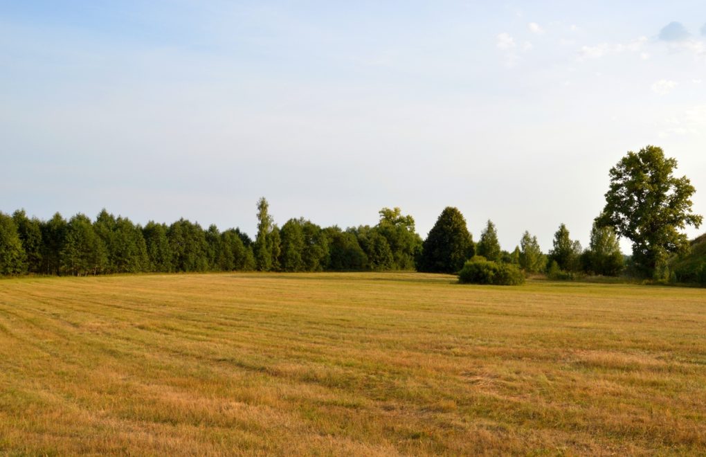 из архива Юрия Иванова