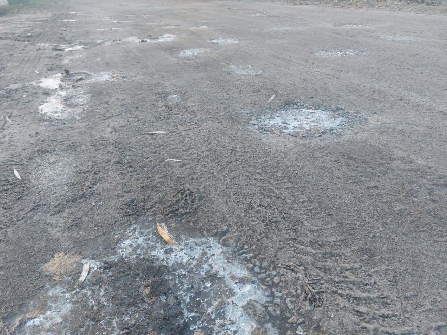 Фото: Елена Яковлева/РИА Верхневолжье