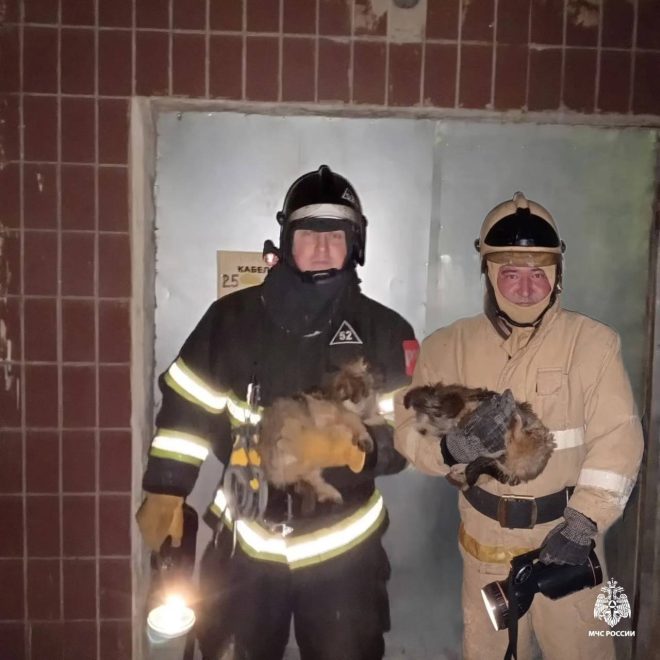 Фото: пресс-служба регионального МЧС