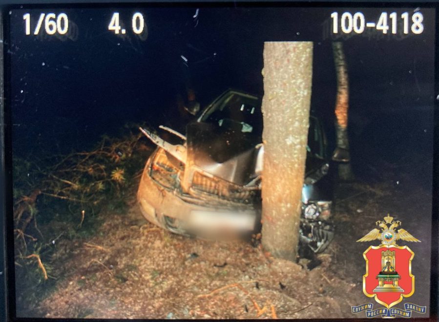 Фото: пресс-служба регионального УМВД