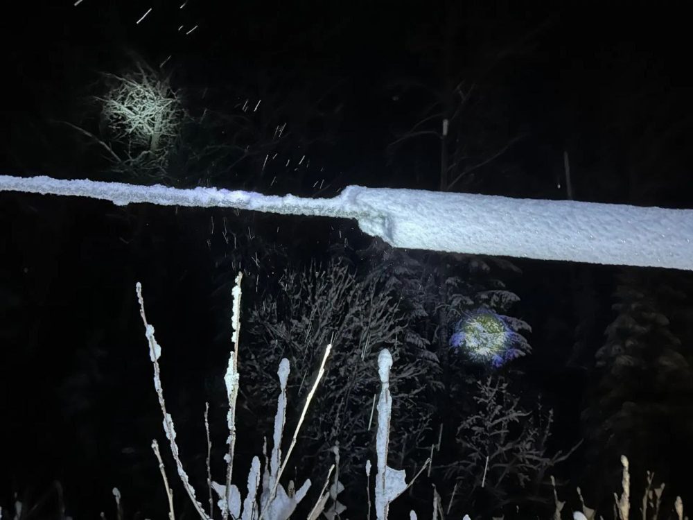 Фото: Константин Черкасов/ПАО «Россети Центр» -
«Тверьэнерго»