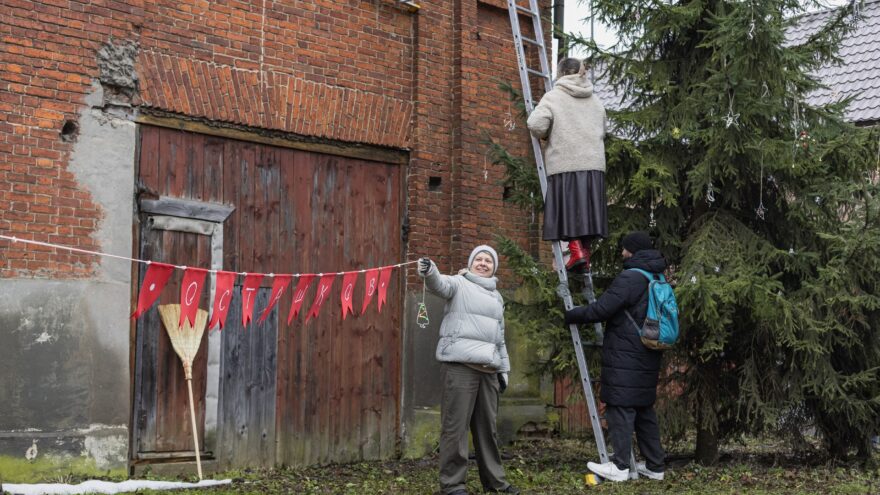 украшение елки, осташковский округ