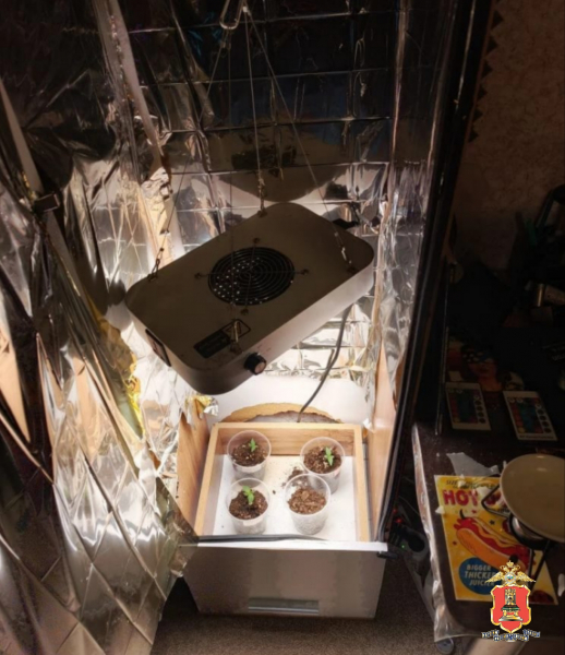 наркотики, конаково