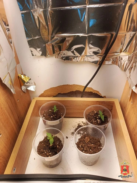 наркотики, конаково