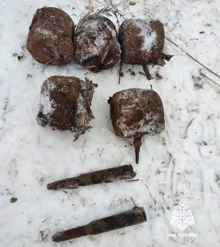 Фото: МЧС России по Тверской области