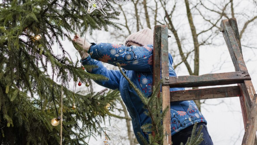 украшение елки, осташковский округ