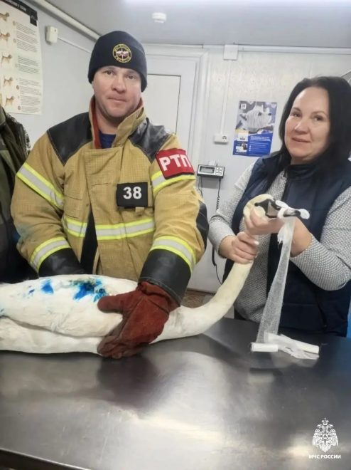Фото: пресс-служба регионального МЧС