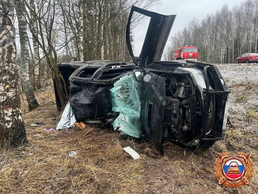 Фото: областная Госавтоинспекция