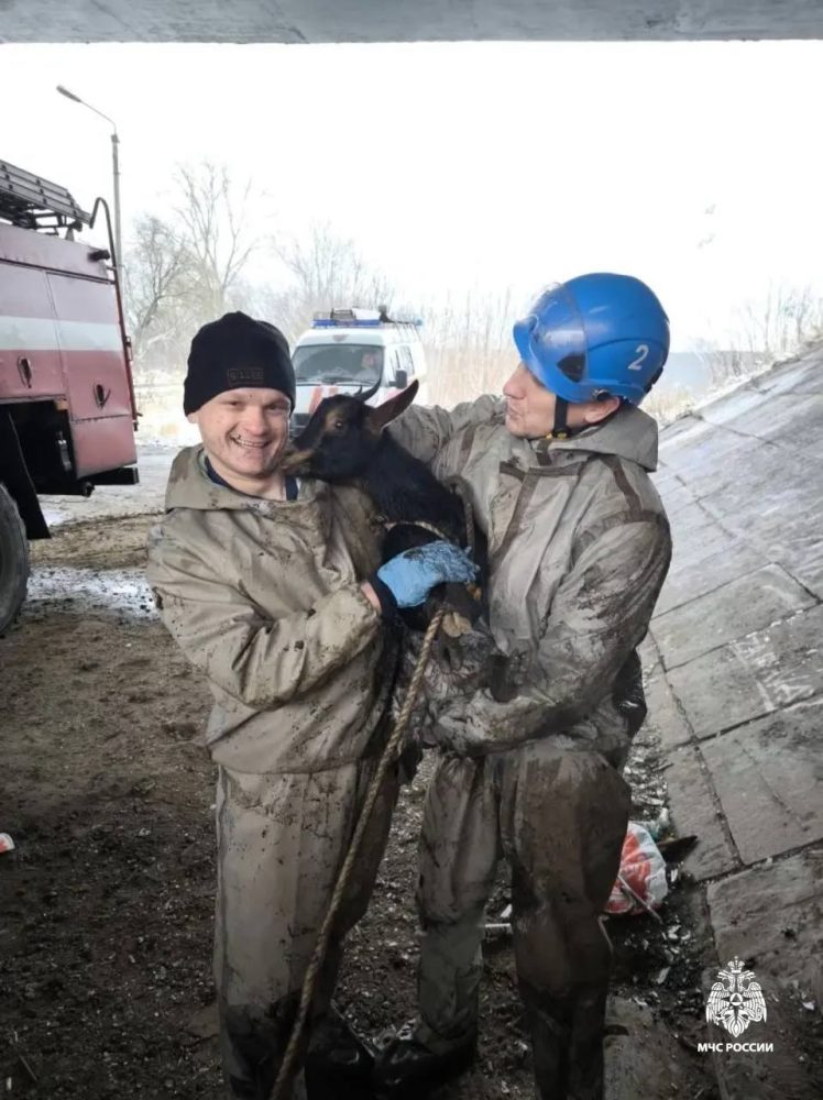 Фото: МЧС России по Тверской области