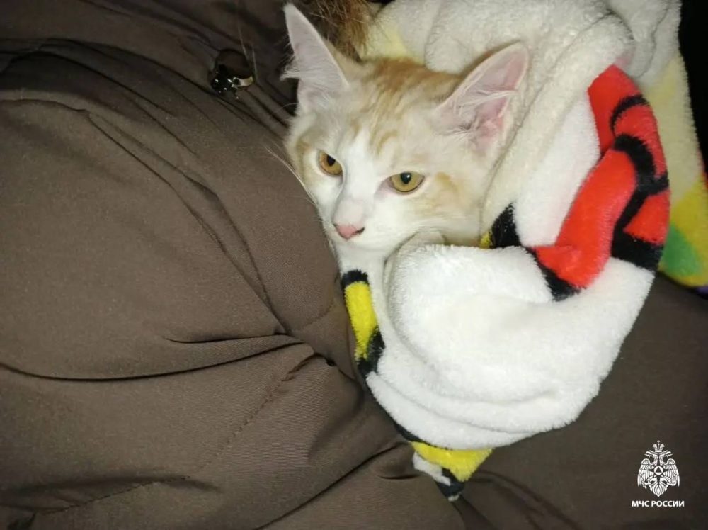 Фото: МЧС России по Тверской области