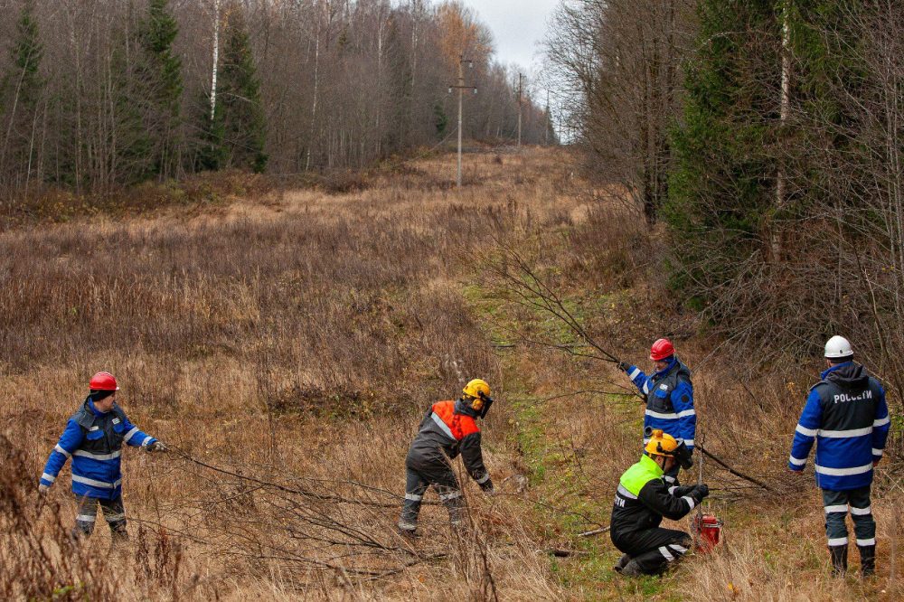 Фото: Диана Журавлева/ПАО «Россети Центр»