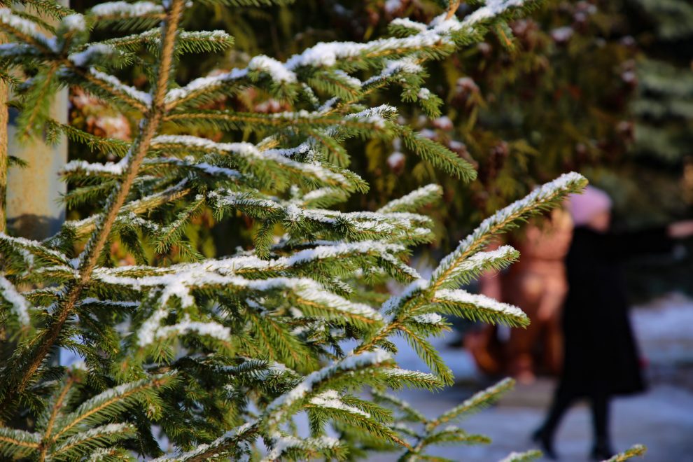 Фото: Кристина Белякова/РИА Верхневолжье