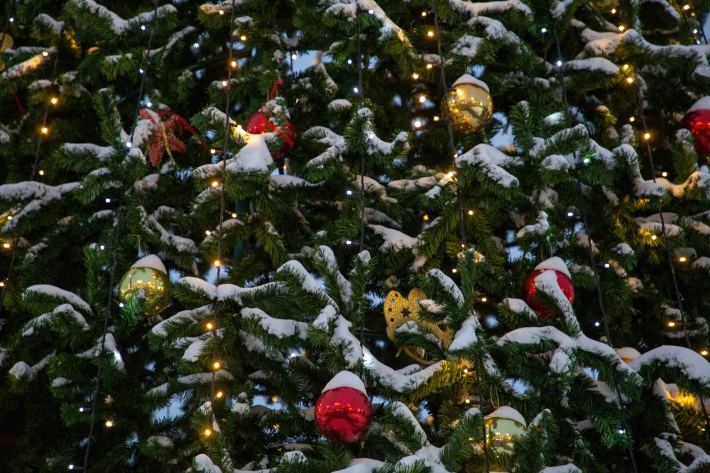 Фото: Кристина Белякова/РИА Верхневолжье