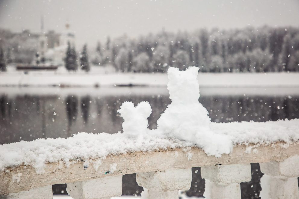 Фото: Кристина Белякова/РИА Верхневолжье