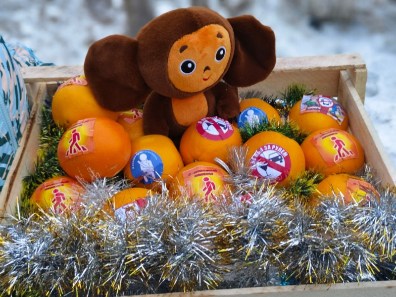 Фото: Пресс-служба УМВД России по Тверской области