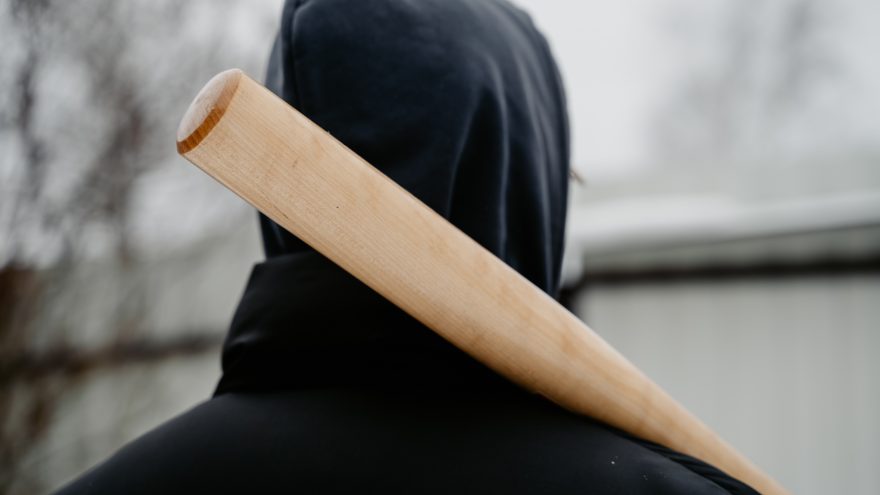 бита, погром