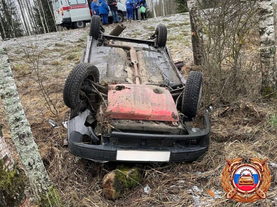 оленино дтп