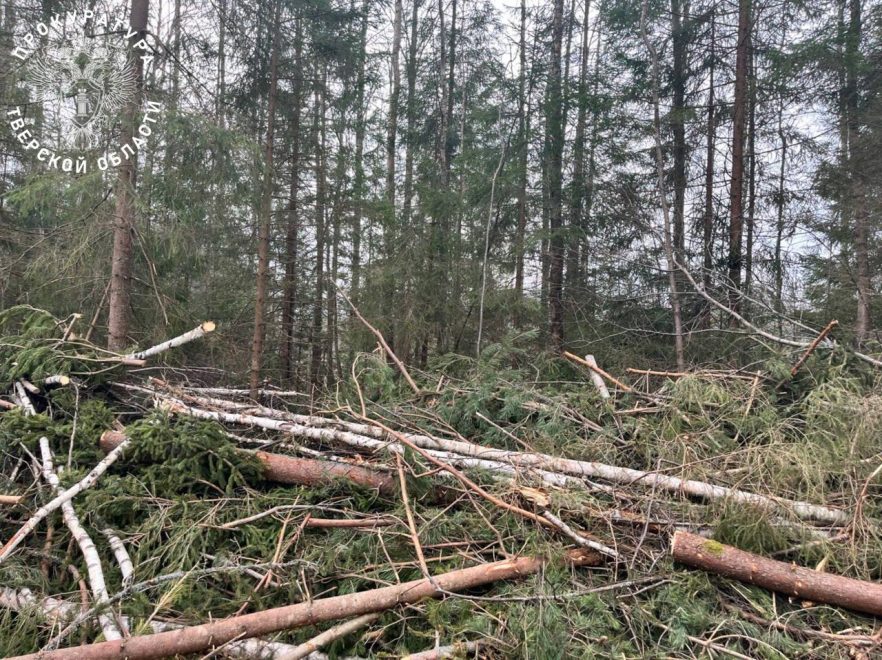 Фото: пресс-служба региональной прокуратуры