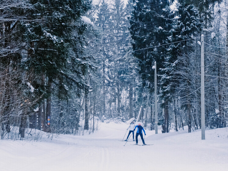 Фото: Кристина Белякова/РИА Верхневолжье