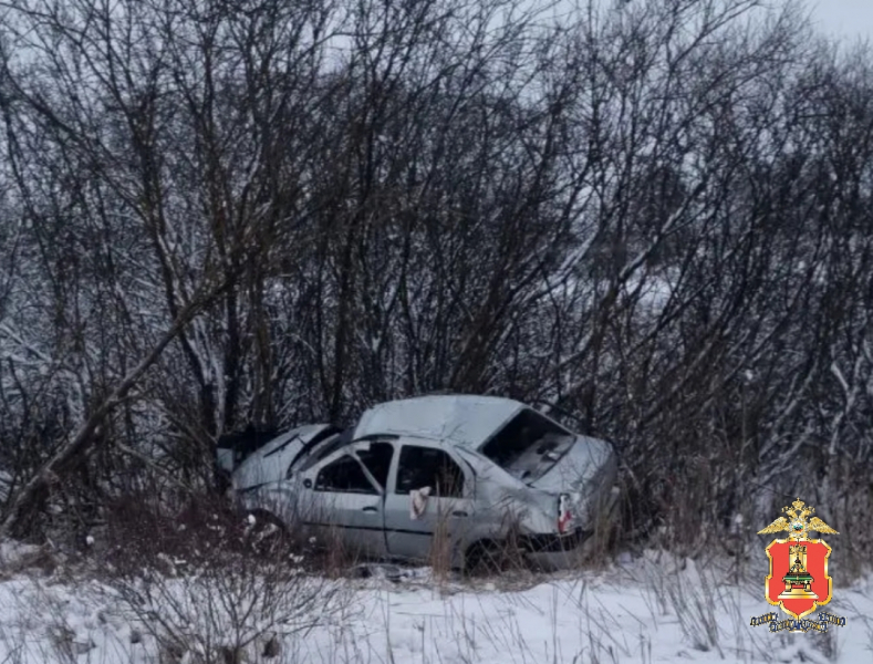 Фото: пресс-служба регионального УМВД