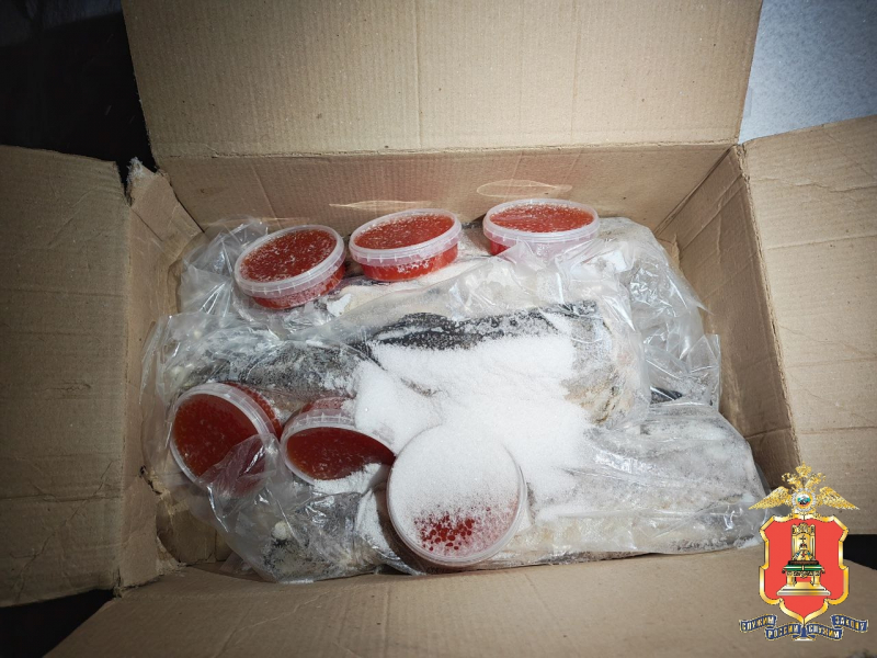 Фото: Пресс-служба УМВД России по Тверской области