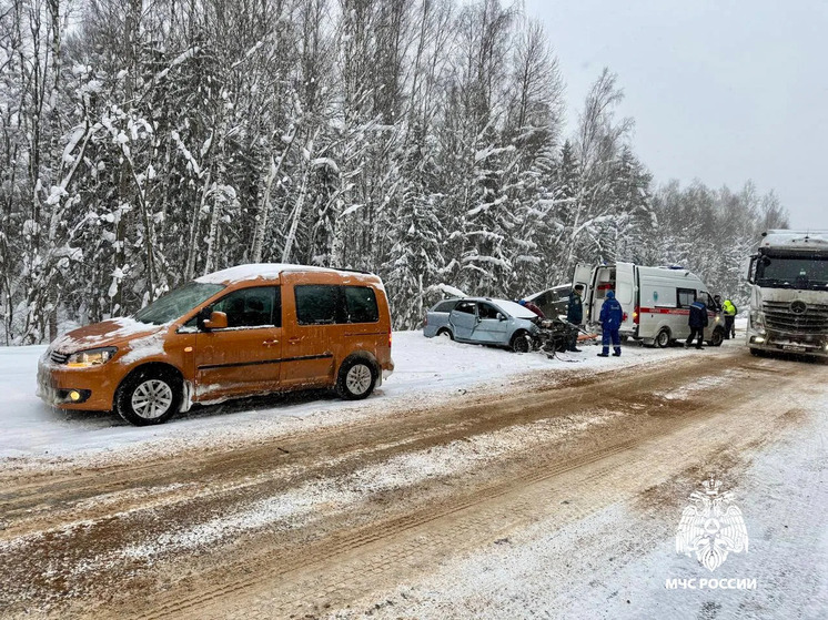 Фото: ГУ МЧС России по Тверской области
