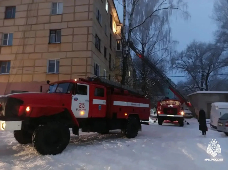 Фото: ГУ МЧС России по Тверской области