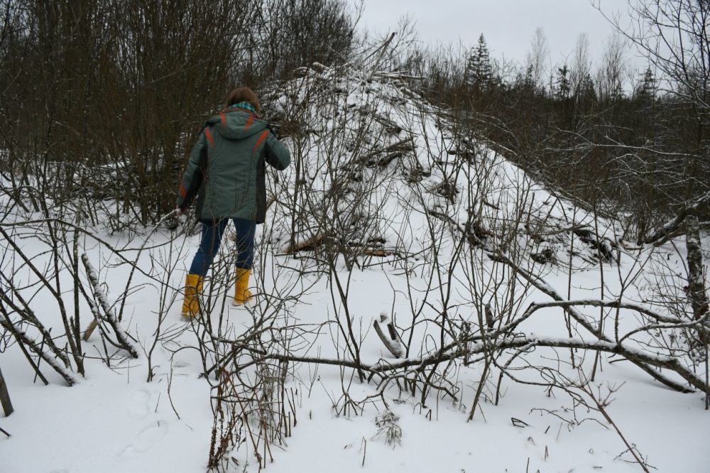 Фото: Мария Сидоренко / Центрально-Лесной государственный заповедник