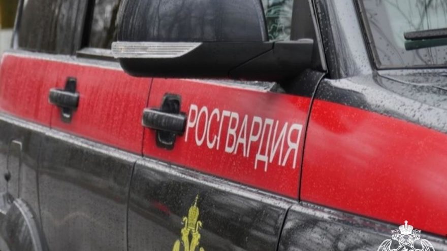 fotozaglushka37