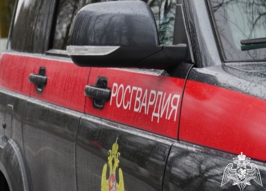 fotozaglushka37