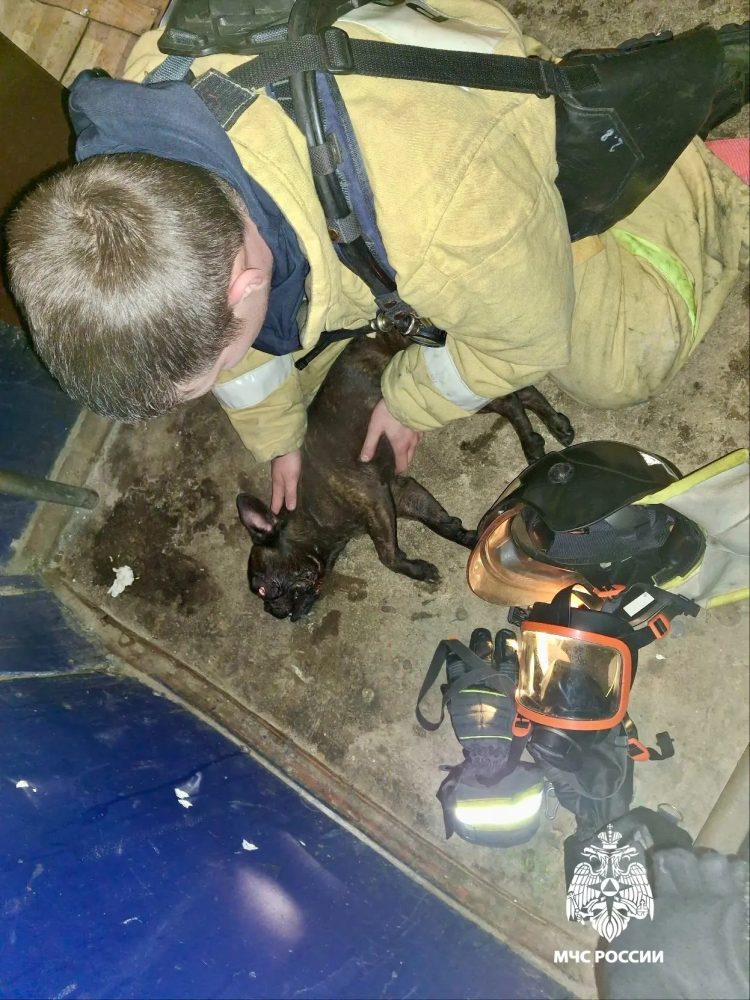 пожар, осташков