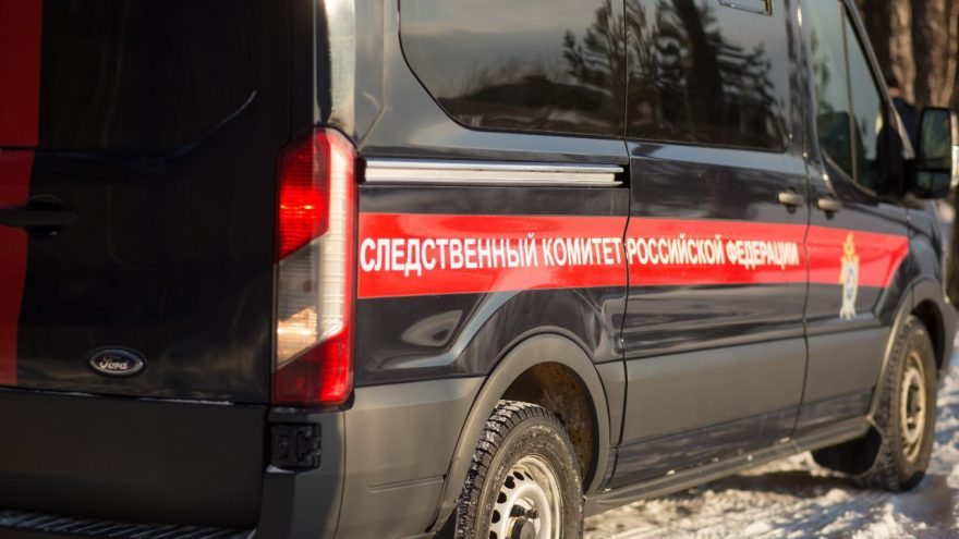 photo 5440840506331041155 y