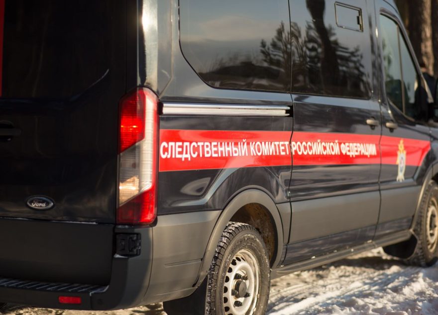 photo 5440840506331041155 y