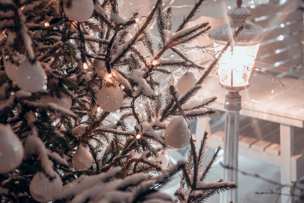 Фото: Кристина Белякова/РИА Верхневолжье