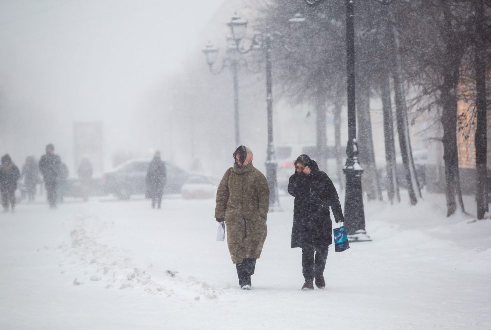 Фото: Кристина Белякова/РИА Верхневолжье