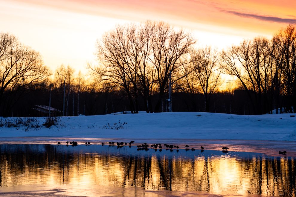 Фото: Андрей Зубов/РИА Верхневолжье