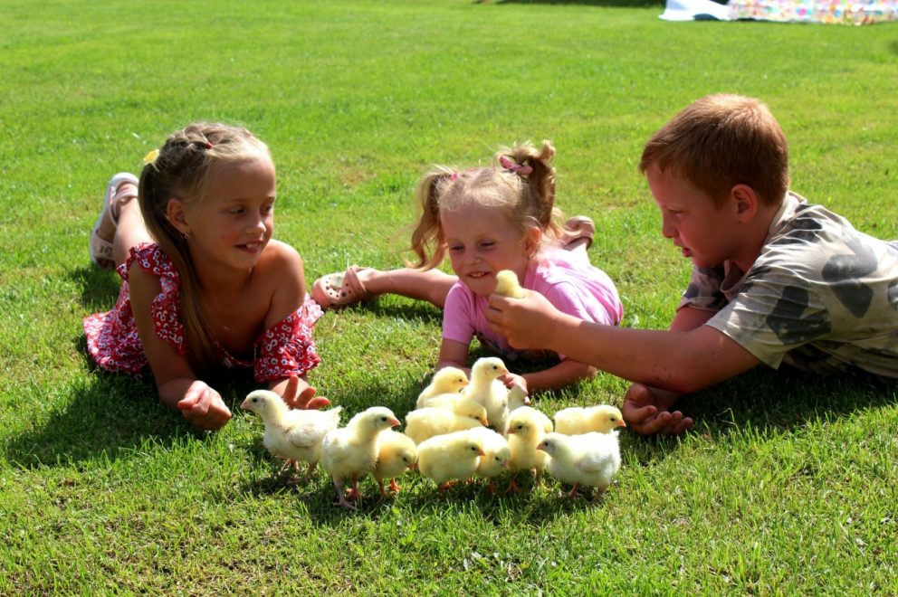 Фото 11 из архива семьи Афанасовых