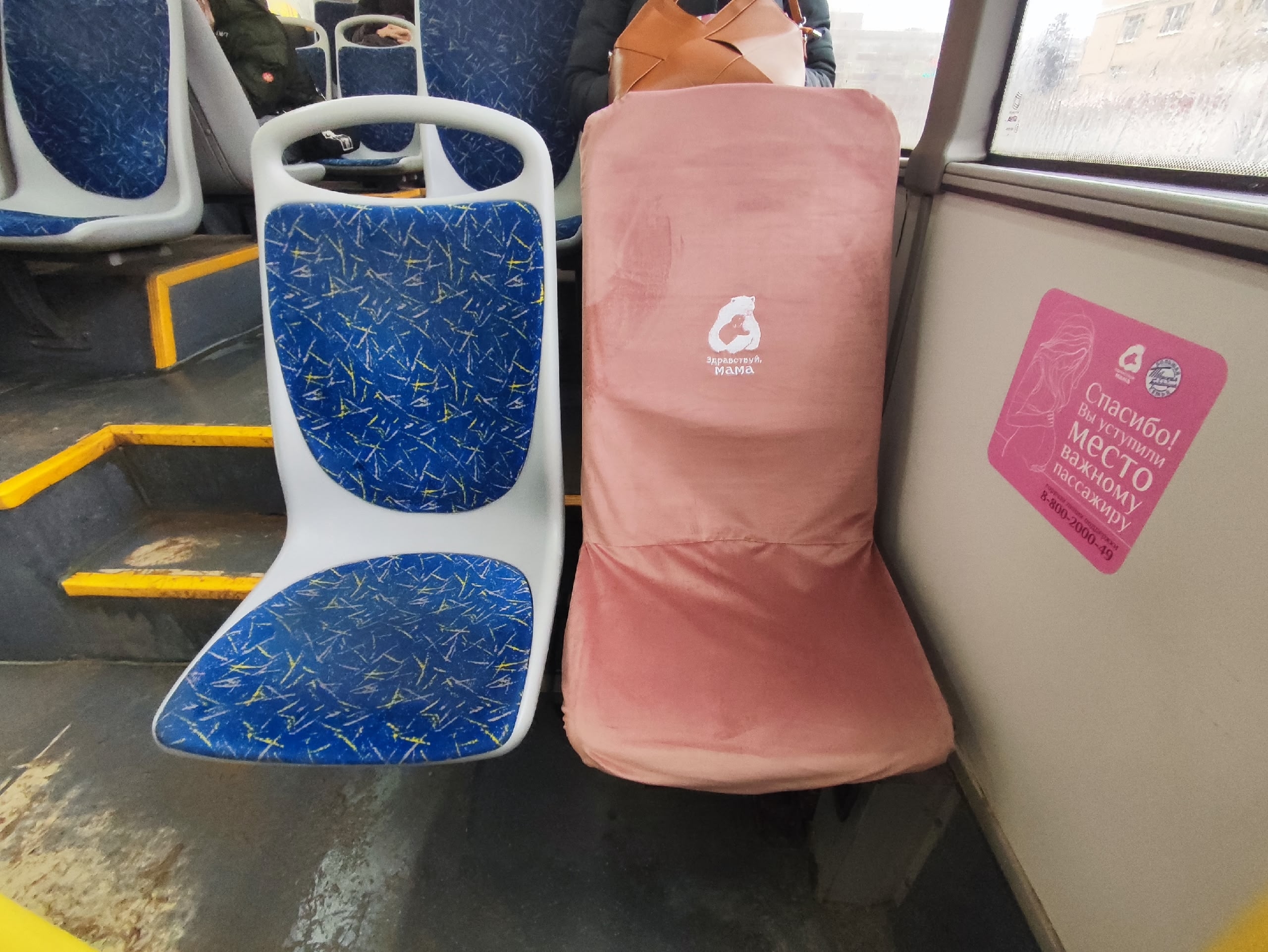 Фото: Дарья Дергунова/РИА Верхневолжье