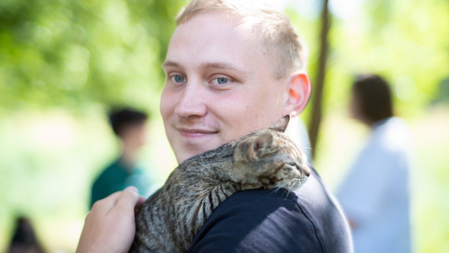кошка, кошки, животные (3)