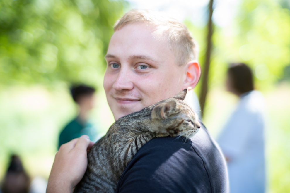 кошка, кошки, животные (3)