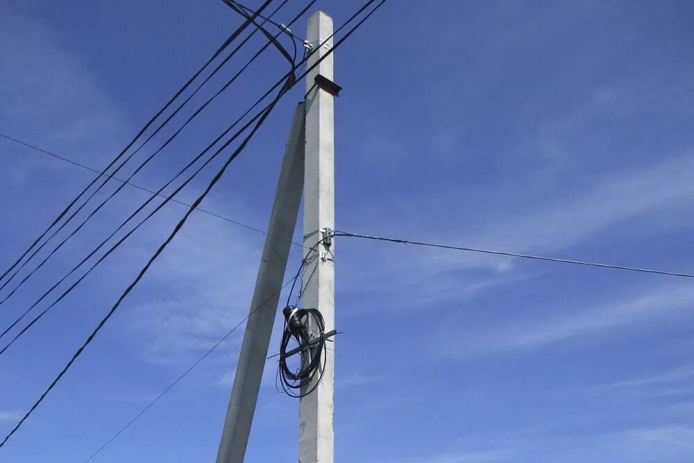 Фото: Новиков Владимир