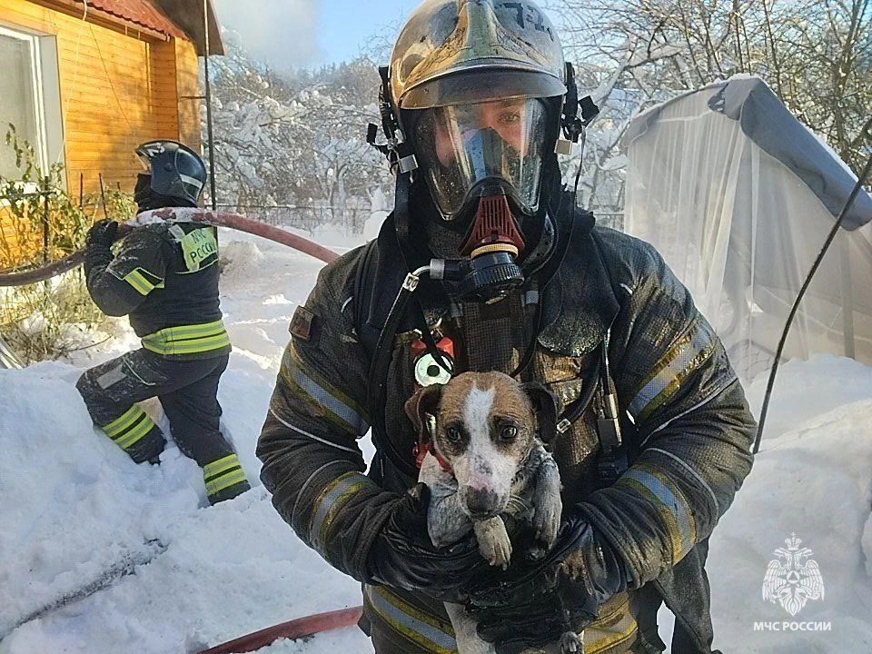 Фото: МЧС России по Тверской области