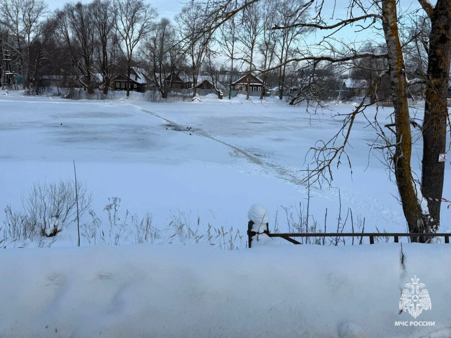 Фото: пресс-служба регионального МЧС