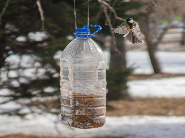 Фото: Анастасия Чистякова/РИА Верхневолжье
