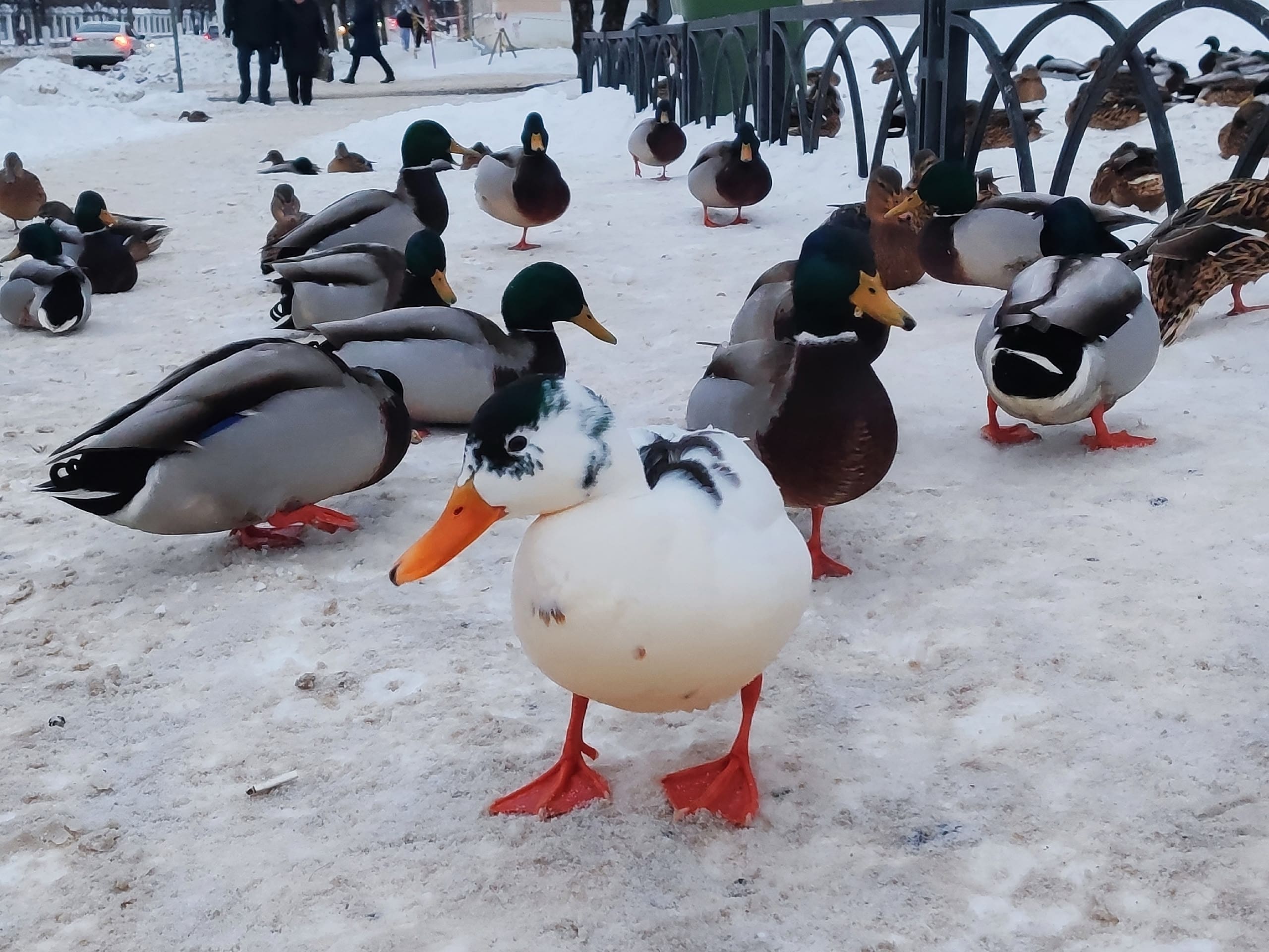 3R2IYwolNBbz 9hOY0xw5SOK2fYcfLkjEmC7Gjw52A39mi6KT8Tz8BwVar6PKTMJ59jlxThF50UgNkLH6B kQs3y