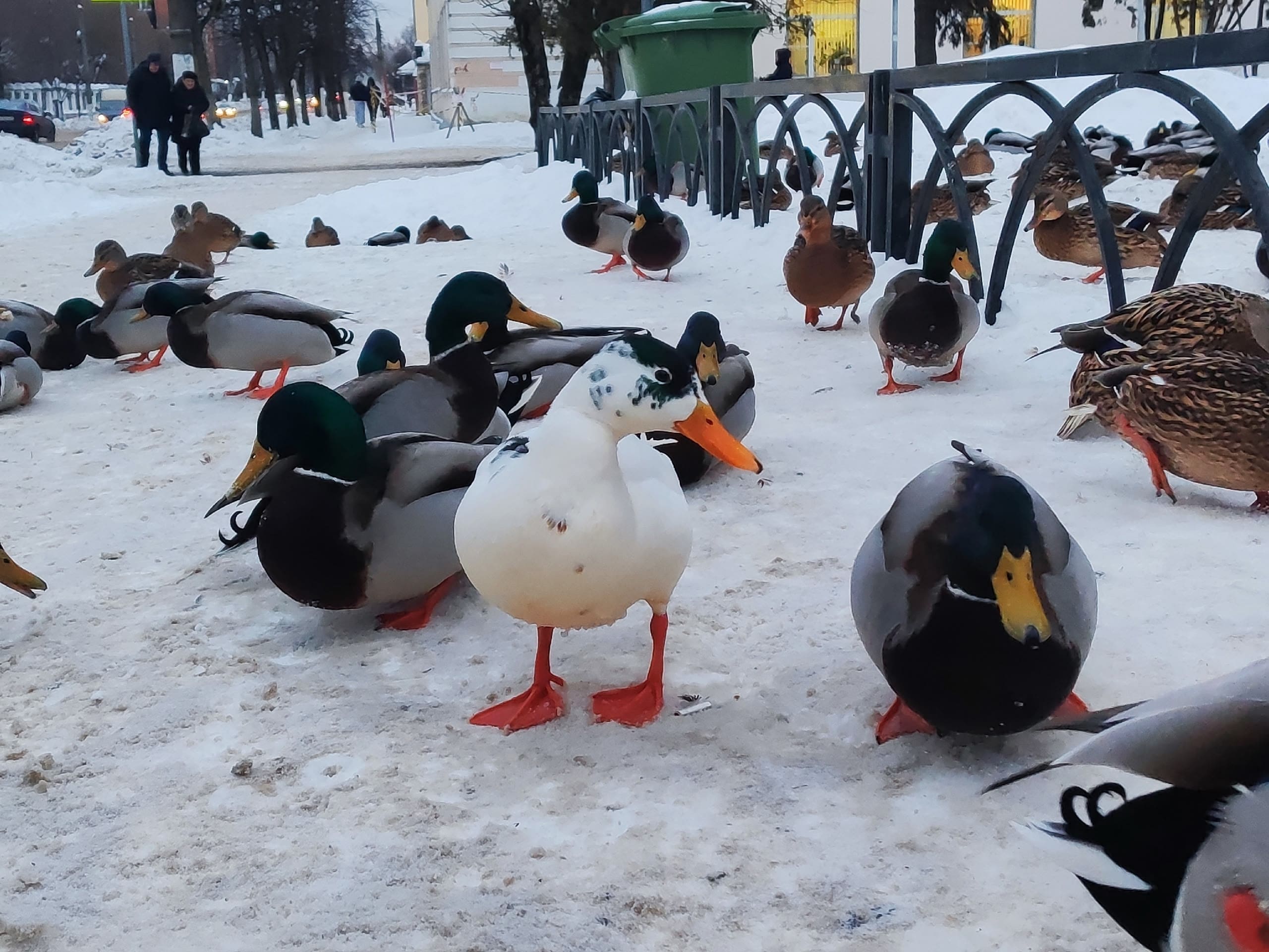 GbNAN8ILxHD7D OMVtky0pGvixRVDJM 5juUVw2oGarmDJUDMLehjIOoEA1mVyqoF6DNxTRIOQVbZ508kCbkRJw9